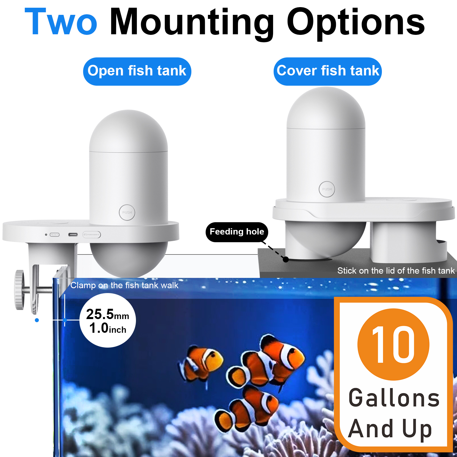 Automatic Fish Feeder With Cam – Fishing Line Dispenser Bewertung und Preis