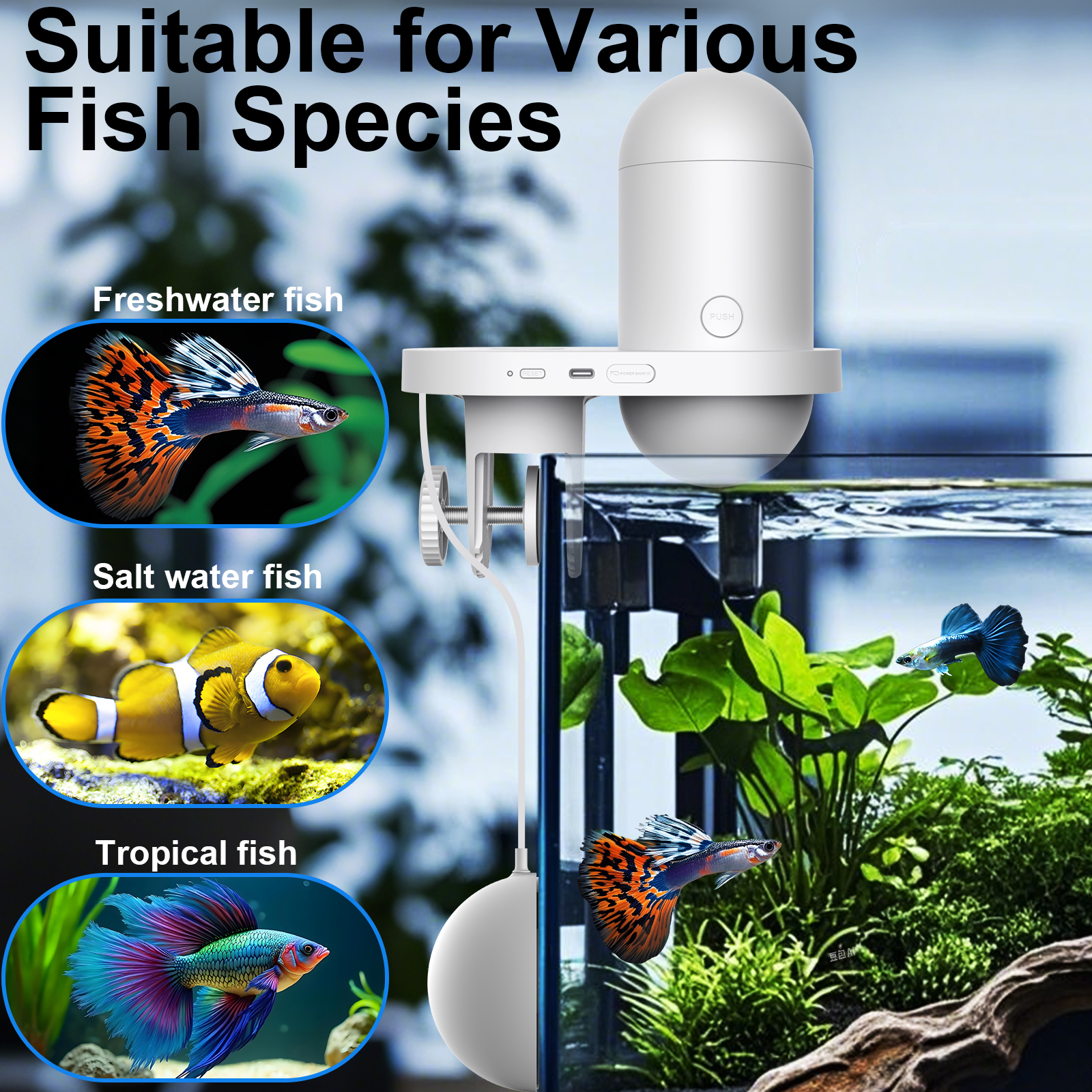 Automatic Fish Feeder With Cam – Fishing Line Dispenser Bewertung und Preis