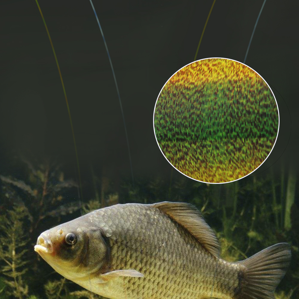 FTK 300M Invisible Fishing Lin – Fluorocarbon Line Bewertung und Preis