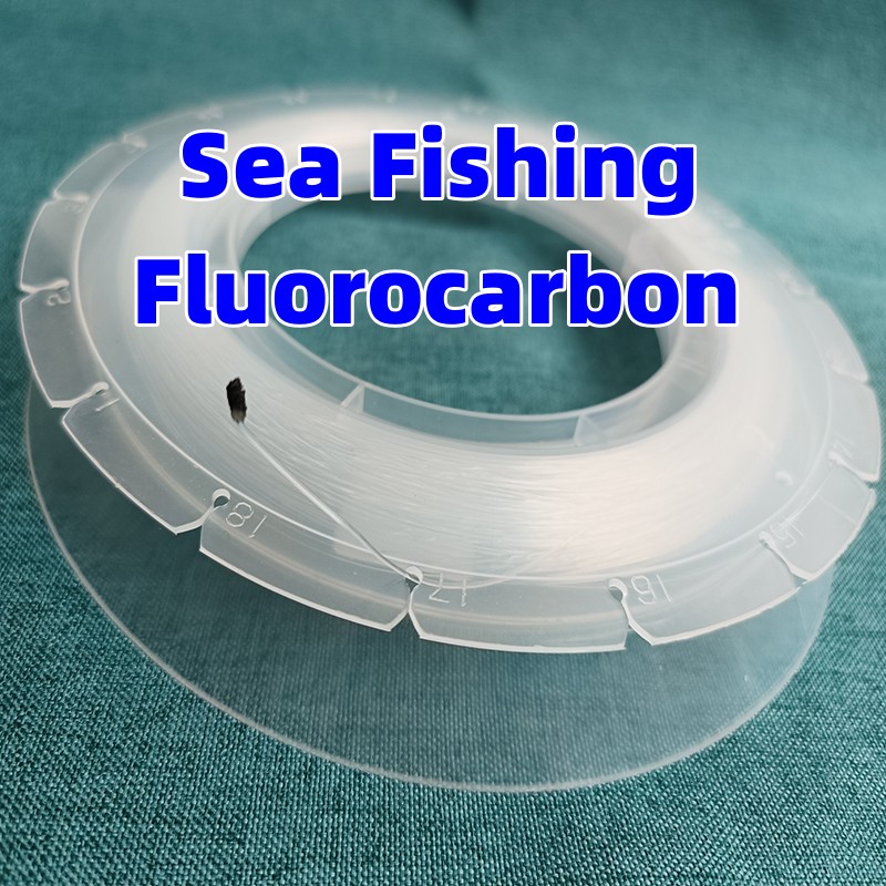 100M Fishing Fluorocarbon Big  – Copolymer Line Bewertung und Preis